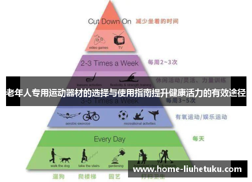老年人专用运动器材的选择与使用指南提升健康活力的有效途径