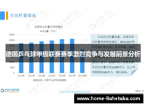 德国乒乓球甲级联赛赛季激烈竞争与发展前景分析