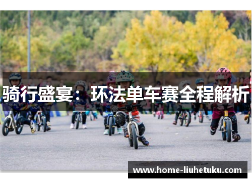 骑行盛宴：环法单车赛全程解析
